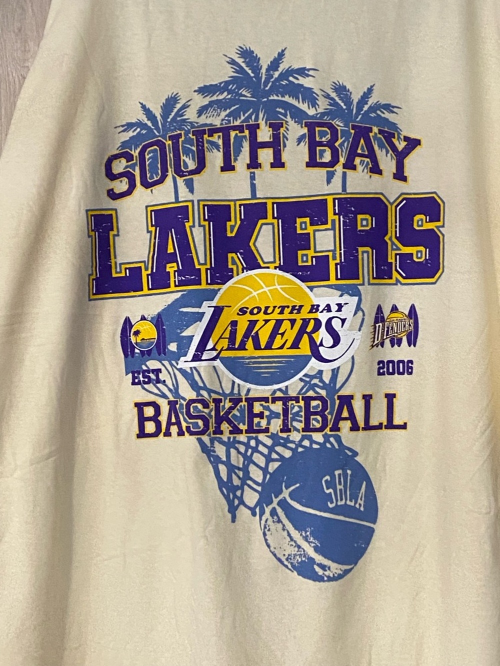 South Bay LAKERS 2026 t-shirt NEW promo only EXCLUSIVE + LAKERS Rally towel!💛💜